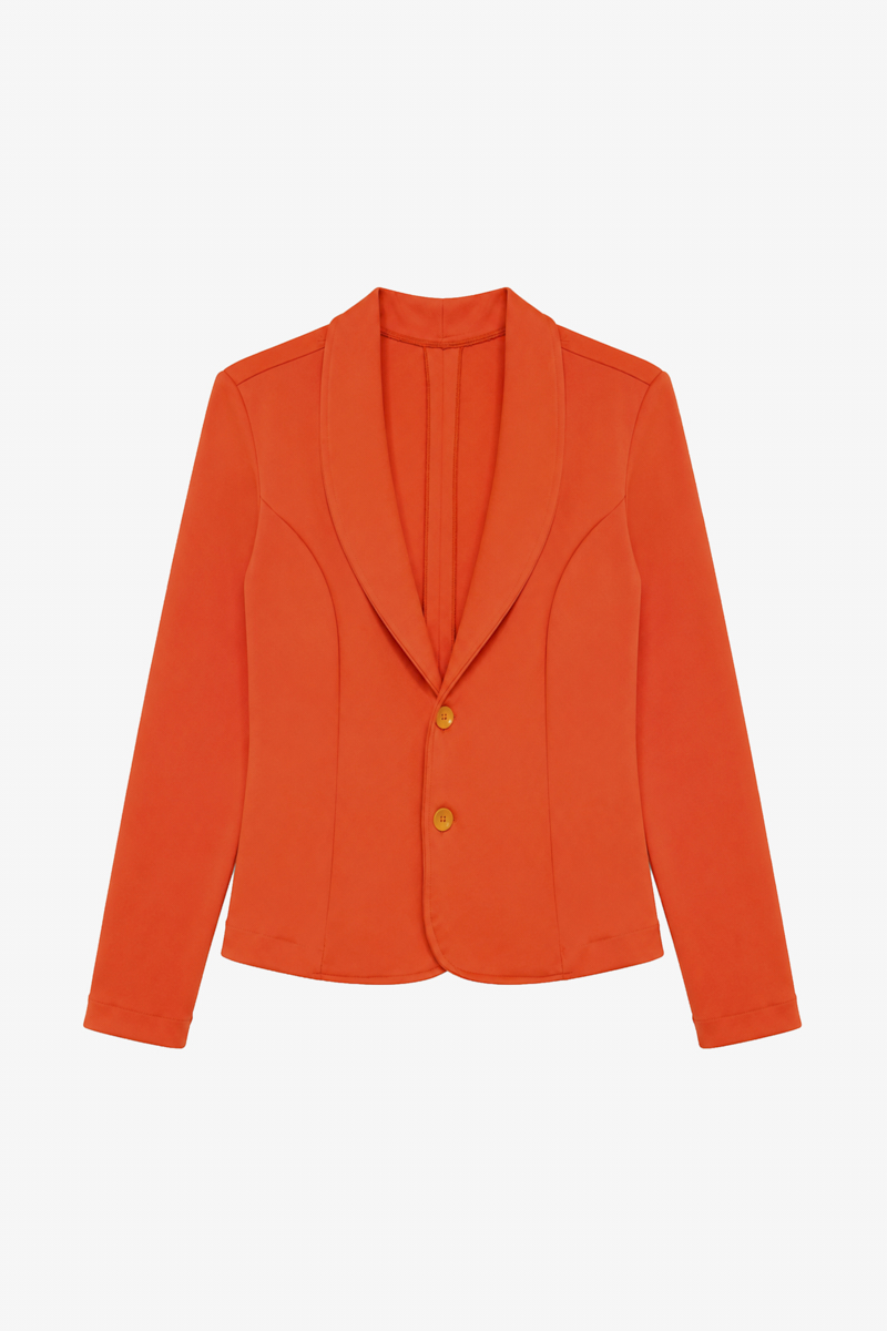 Blazer Delta